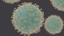 Coronavirus Covid 19